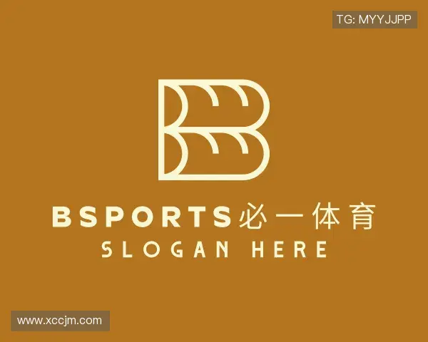 关于必一运动官网